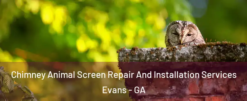 Chimney Animal Screen Repair And Installation Services Evans - GA