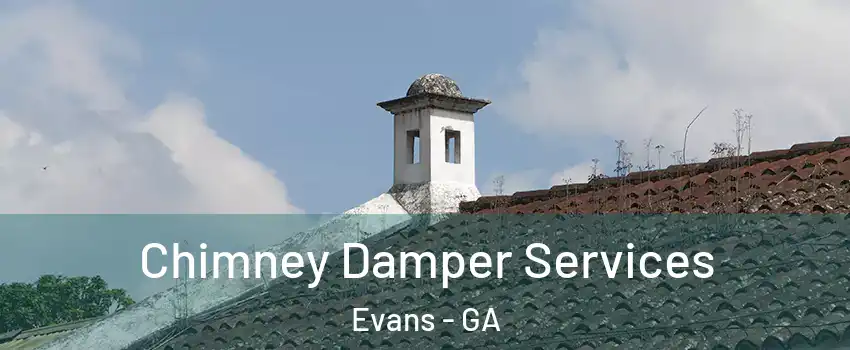  Chimney Damper Services Evans - GA