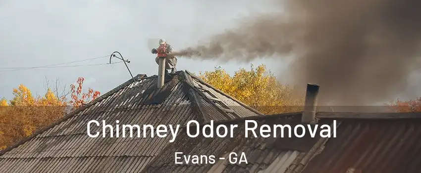  Chimney Odor Removal Evans - GA