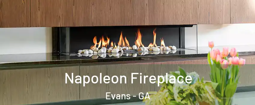  Napoleon Fireplace Evans - GA
